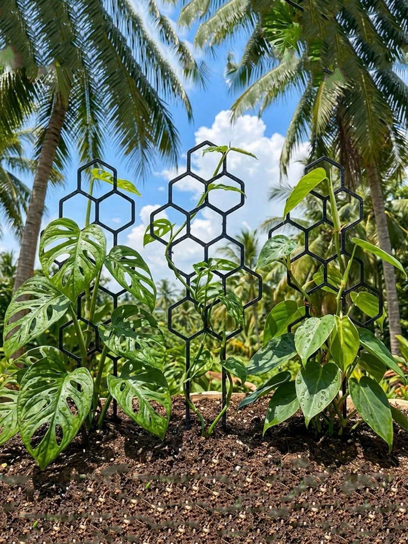 1/2pcs Honeycomb Plant Climbing Trellis, Rust-Proof Plastic Plant Support, Suitable For Potted Vines And Flowers, Indoor/Outdoor Garden Supplies, Summer Essential, Back To School, Graduation Season, G
