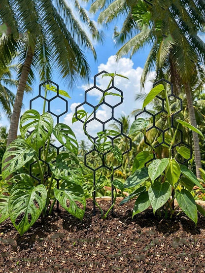 1/2pcs Honeycomb Plant Climbing Trellis, Rust-Proof Plastic Plant Support, Suitable For Potted Vines And Flowers, Indoor/Outdoor Garden Supplies, Summer Essential, Back To School, Graduation Season, G
