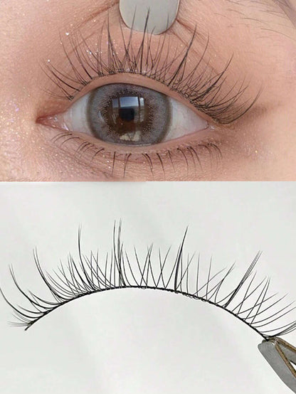 5 Pairs Fine-Stemmed Black Single-Layer False Eyelashes, Super Natural Look, For Beginners, Everyday Wear, Dating, Bridal Makeup Strip Lashes,Lashes,Eyelashes,Fake Lashes