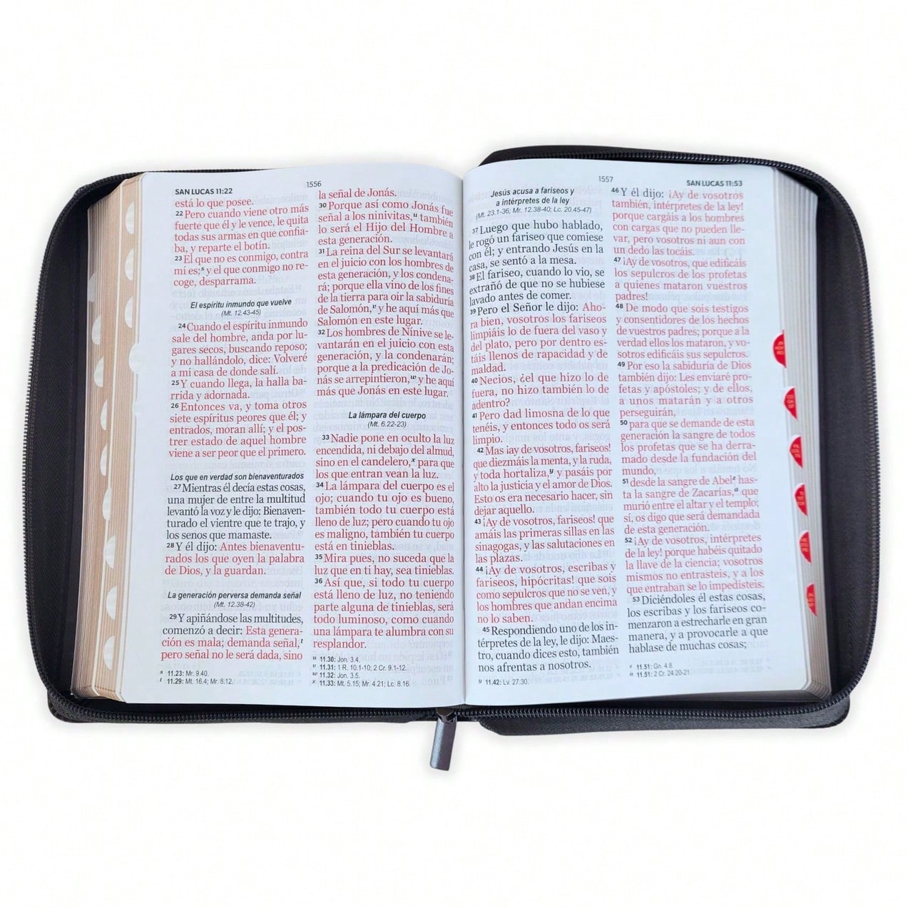 Biblia Con Cierre Letra Gigante Manual 14 Puntos RV1960, Imit Piel Negro Con Indice- Arca Del Pacto