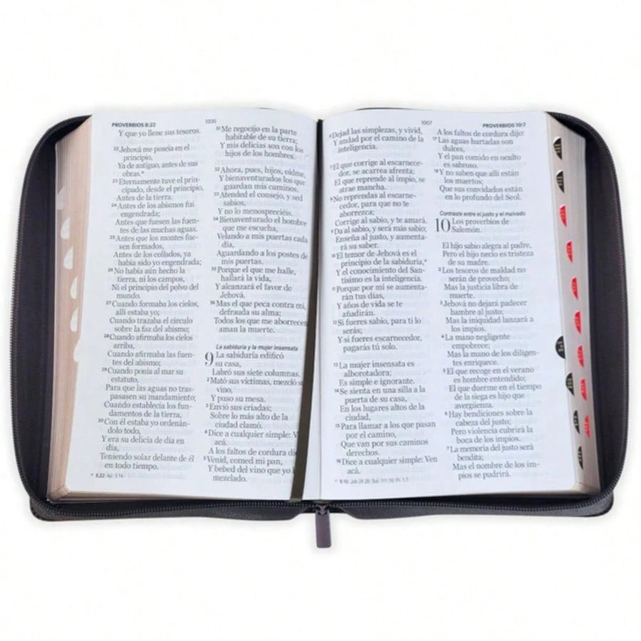 Biblia Con Cierre Letra Gigante Manual 14 Puntos RV1960, Imit Piel Negro Con Indice- Arca Del Pacto