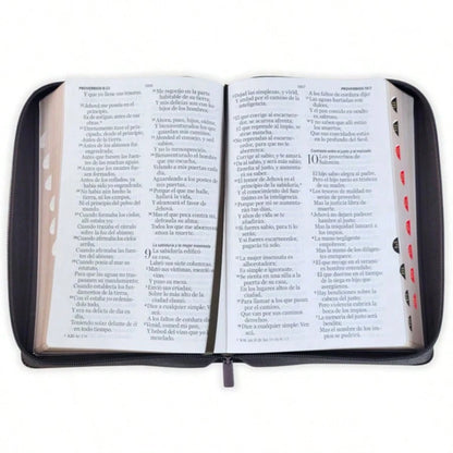 Biblia Con Cierre Letra Gigante Manual 14 Puntos RV1960, Imit Piel Negro Con Indice- Arca Del Pacto