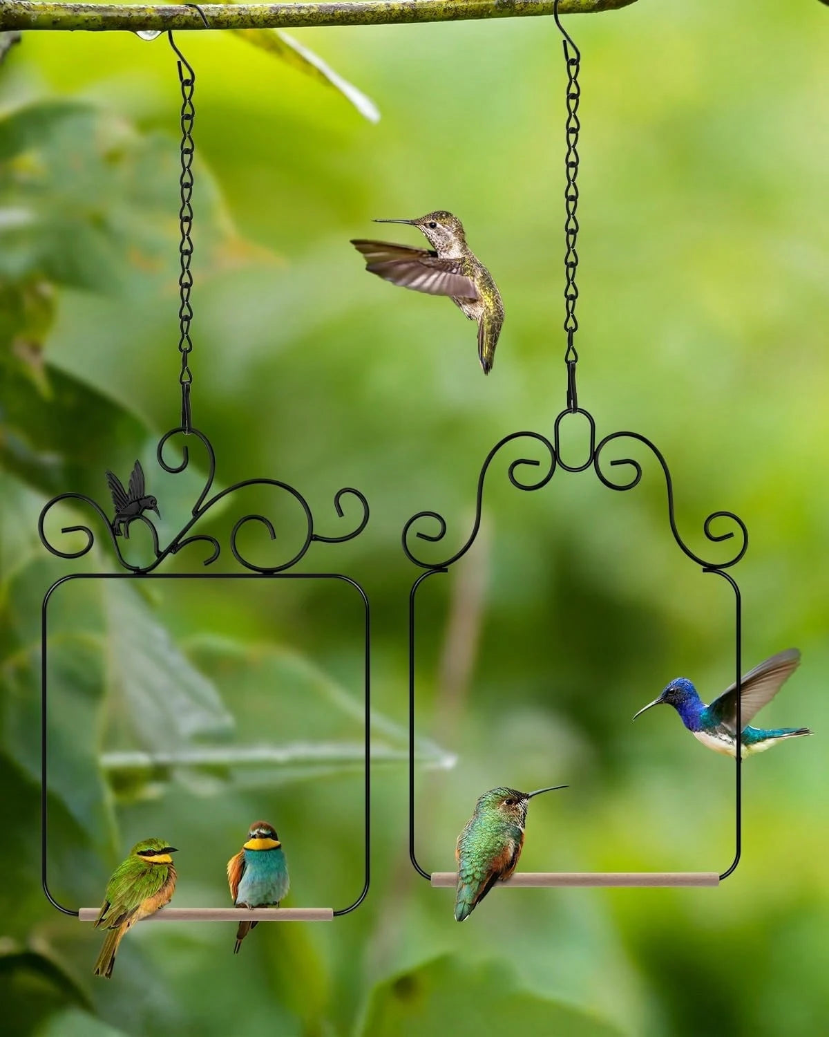 Hummingbird Swings And Perches Metal Frame 2 Pack, Wild Bird Swing Outdoor Bird Perch With Wooden Dowel And 2 Hanging Chain For Hanging Indoor, Outdoor, Trunk, Lawn, Patio, Garden (Black