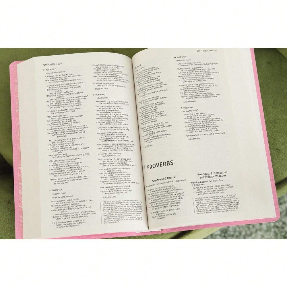 NIV, Gift And Award Bible, Leather-Look, Pink, Red Letter, Comfort Print