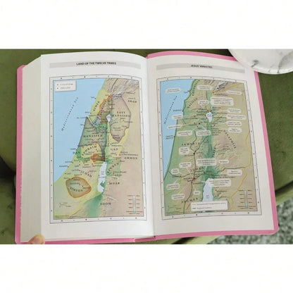 NIV, Gift And Award Bible, Leather-Look, Pink, Red Letter, Comfort Print